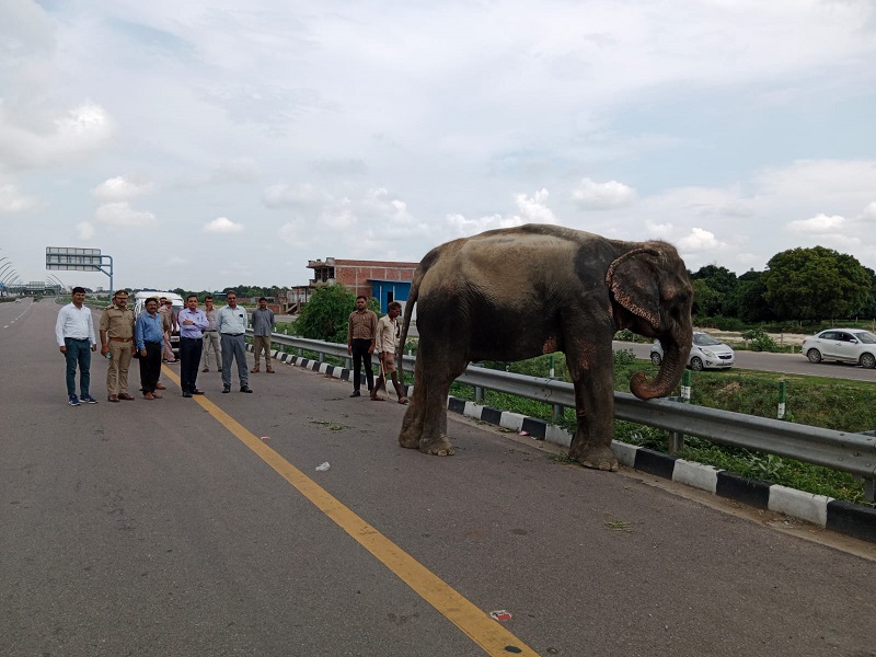 Vehicles stopped after seeing Anarkali at Lucknow Agra Expressway